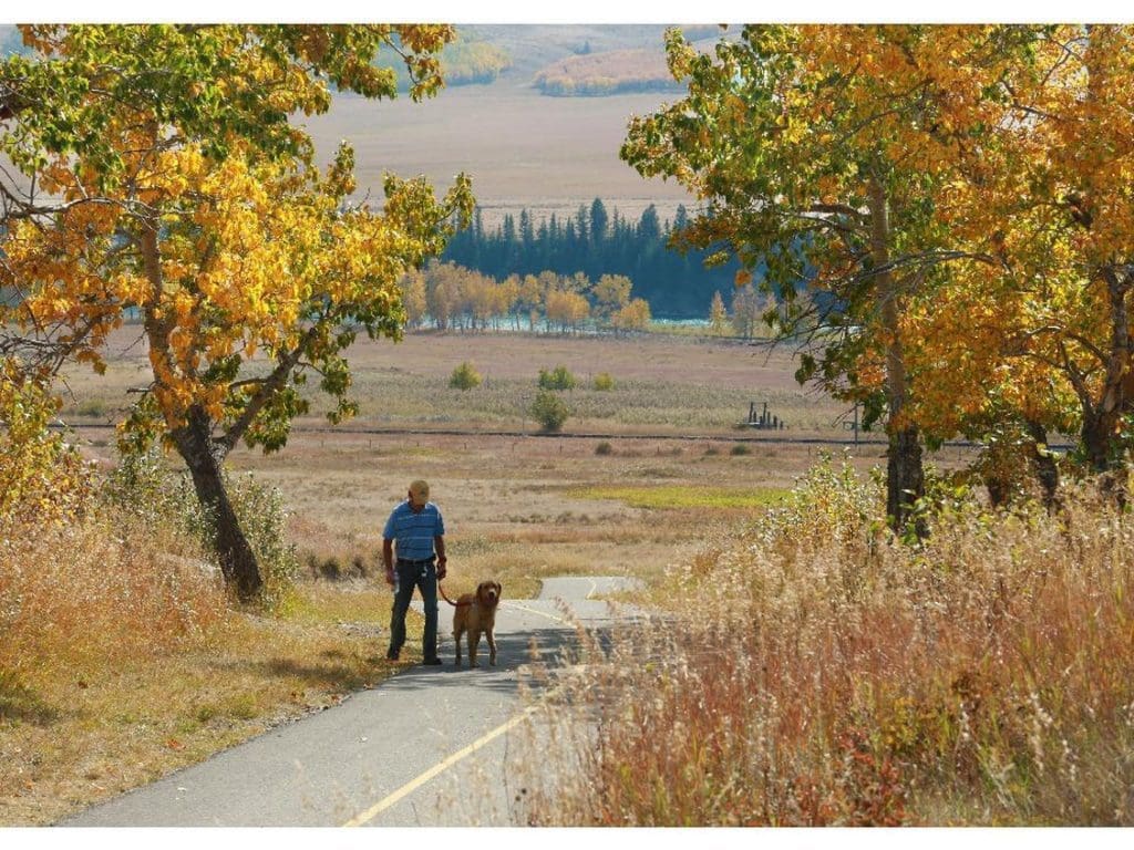 Fundraising goal smashed, Calgary to Cochrane trail one step closer to reality