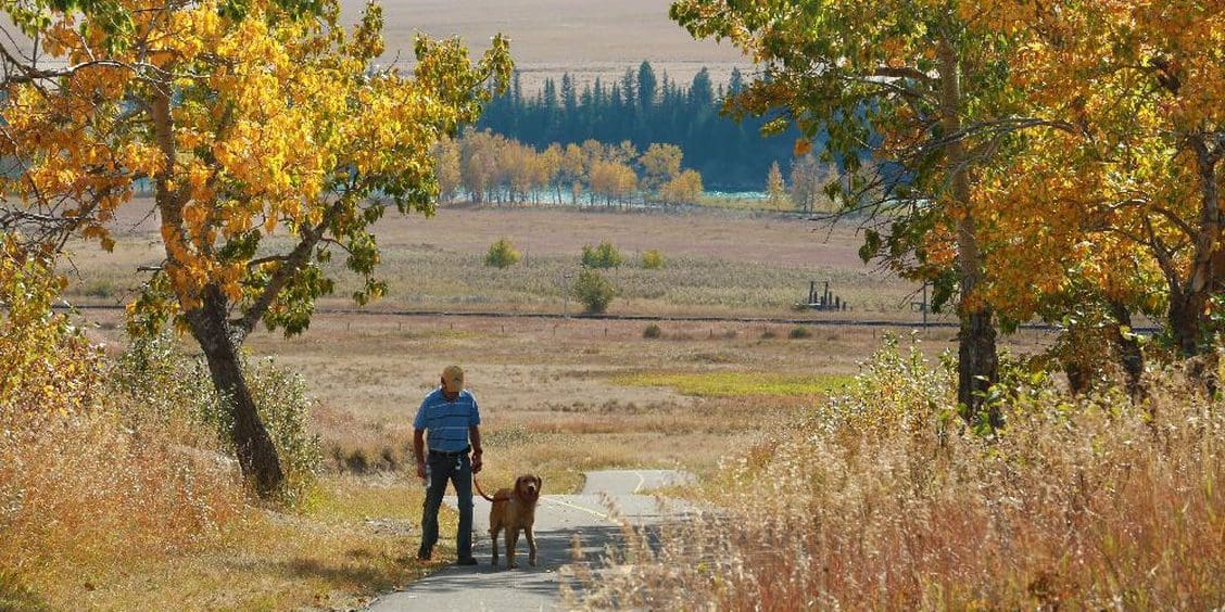 gavin-young-calgary-herald-calgary-ab-september-22-2012